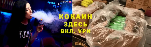 PSILOCYBIN Лабытнанги