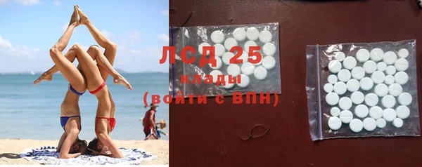 PSILOCYBIN Лабытнанги